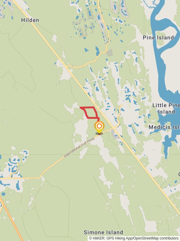 Twelve Mile Swamp and Conservation Area Loop Trail