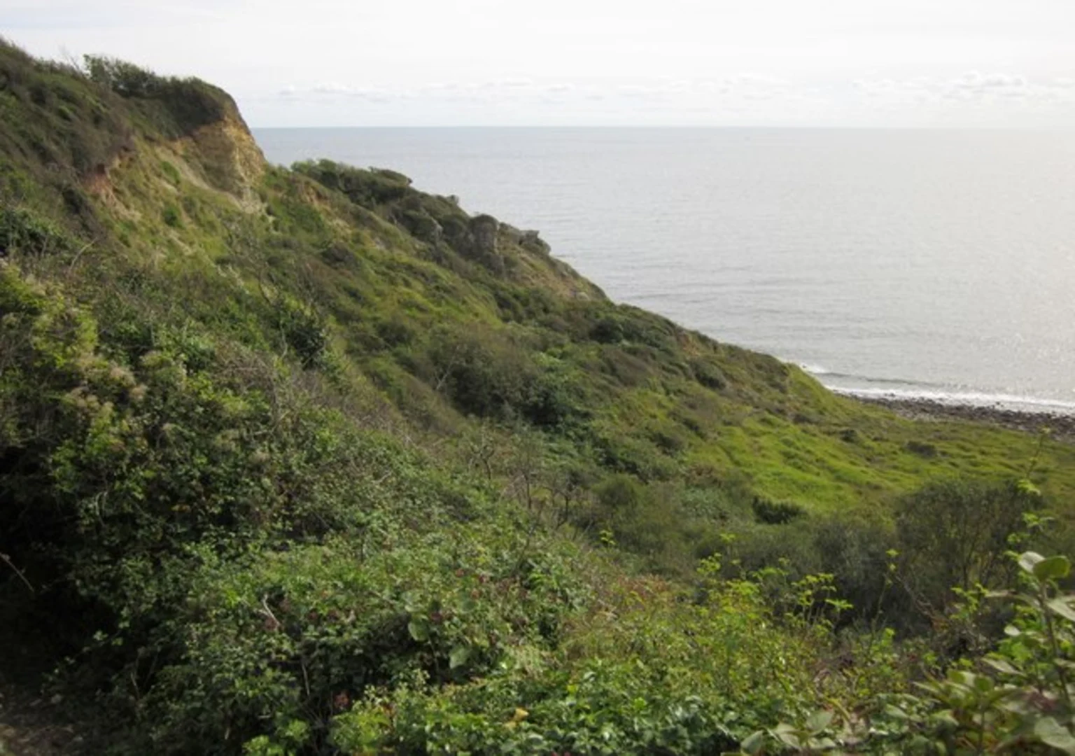 An image depicting the trail Haven Cliffs Naturist Beach, Golden Cap and Thorncombe Beacon and its surrounding area.