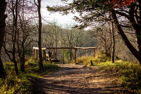 Tafelberg, Kraaijenberg and Harikhuizerveld Loop