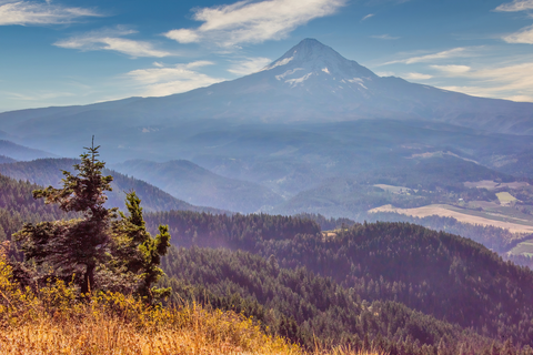 An image depicting the trail Surveyor's Ridge Trail and its surrounding area.