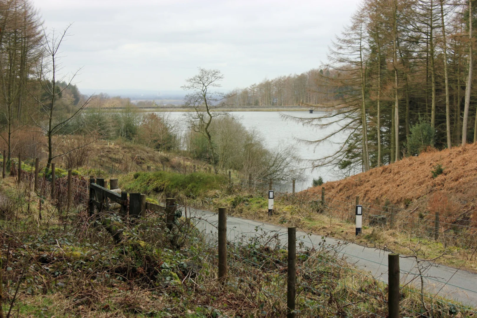 An image depicting the trail Trentabank Reservoir and Shutlingstoe Loop and its surrounding area.