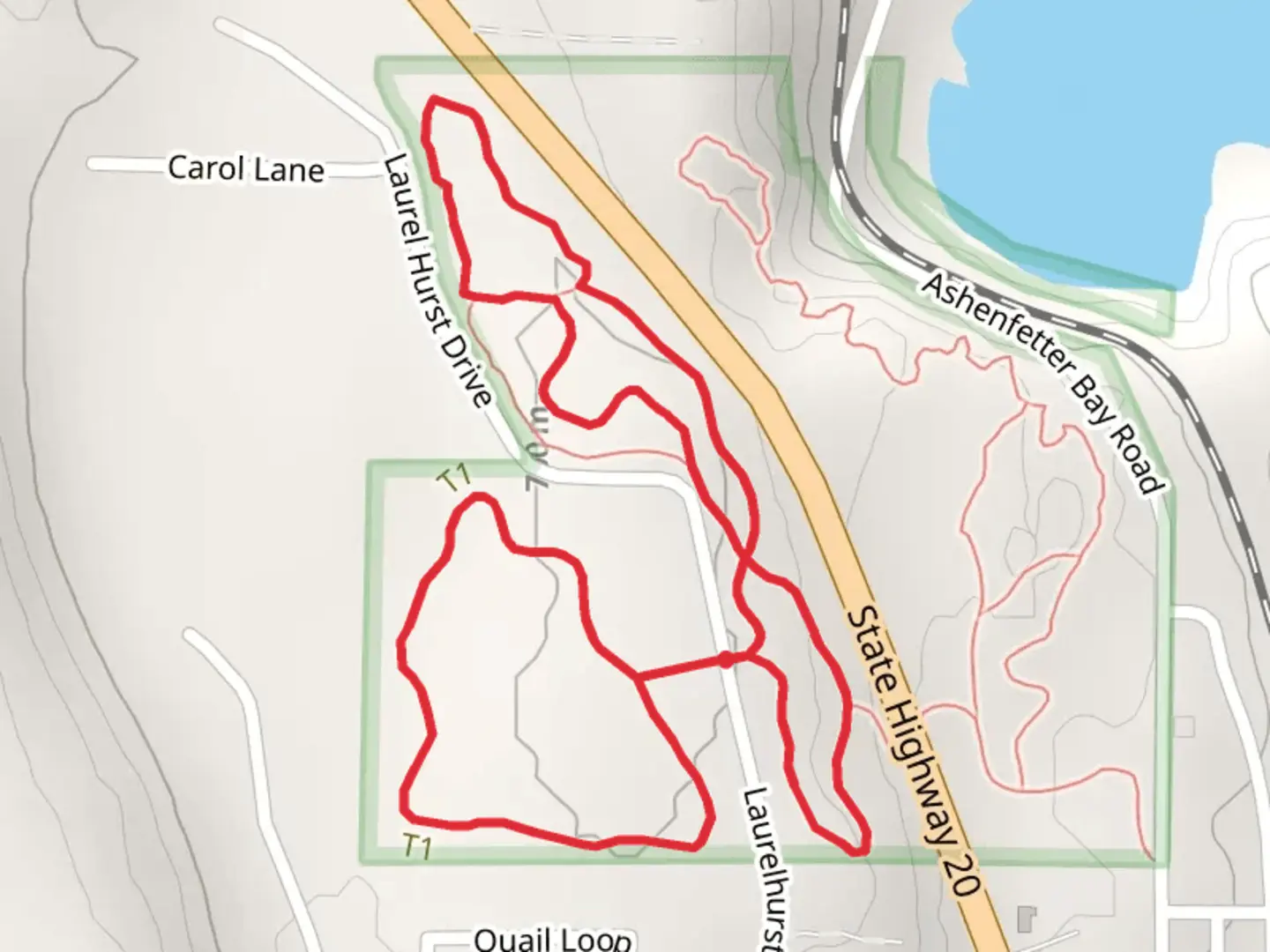 An image depicting the trail Upper Wolf - Alpha Loop Trail and its surrounding area.