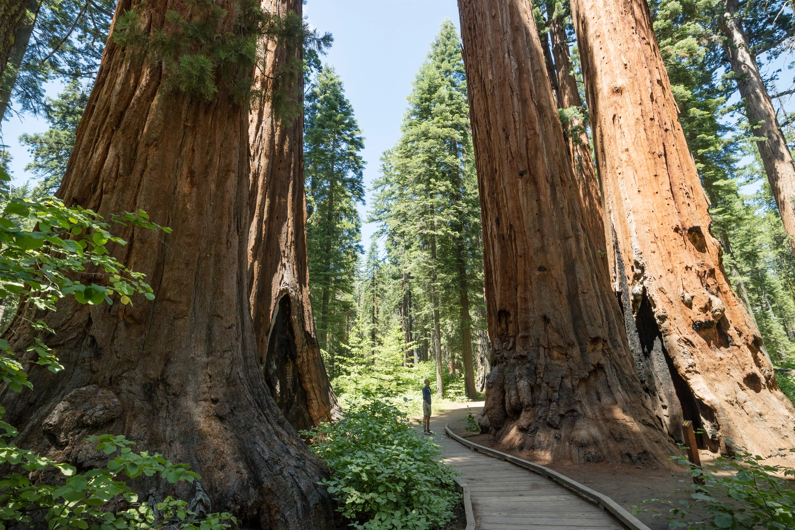 An image depicting the trail North Fork Stanislaus River via North Grove Trail and its surrounding area.