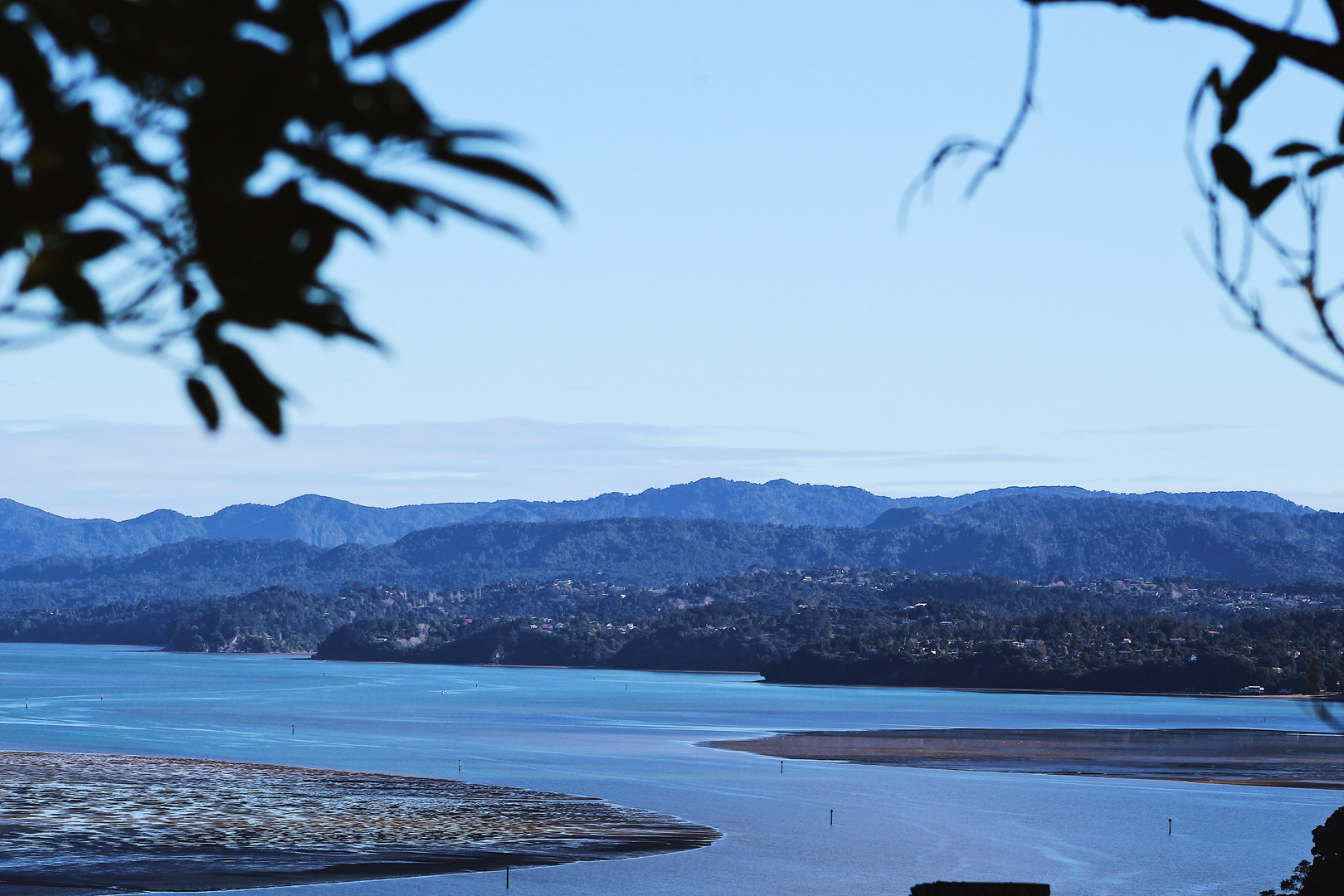 An image depicting the trail Waikowhai Walkway and its surrounding area.