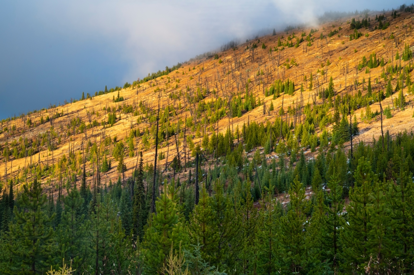 An image depicting the trail Kettle Crest North Trail and its surrounding area.