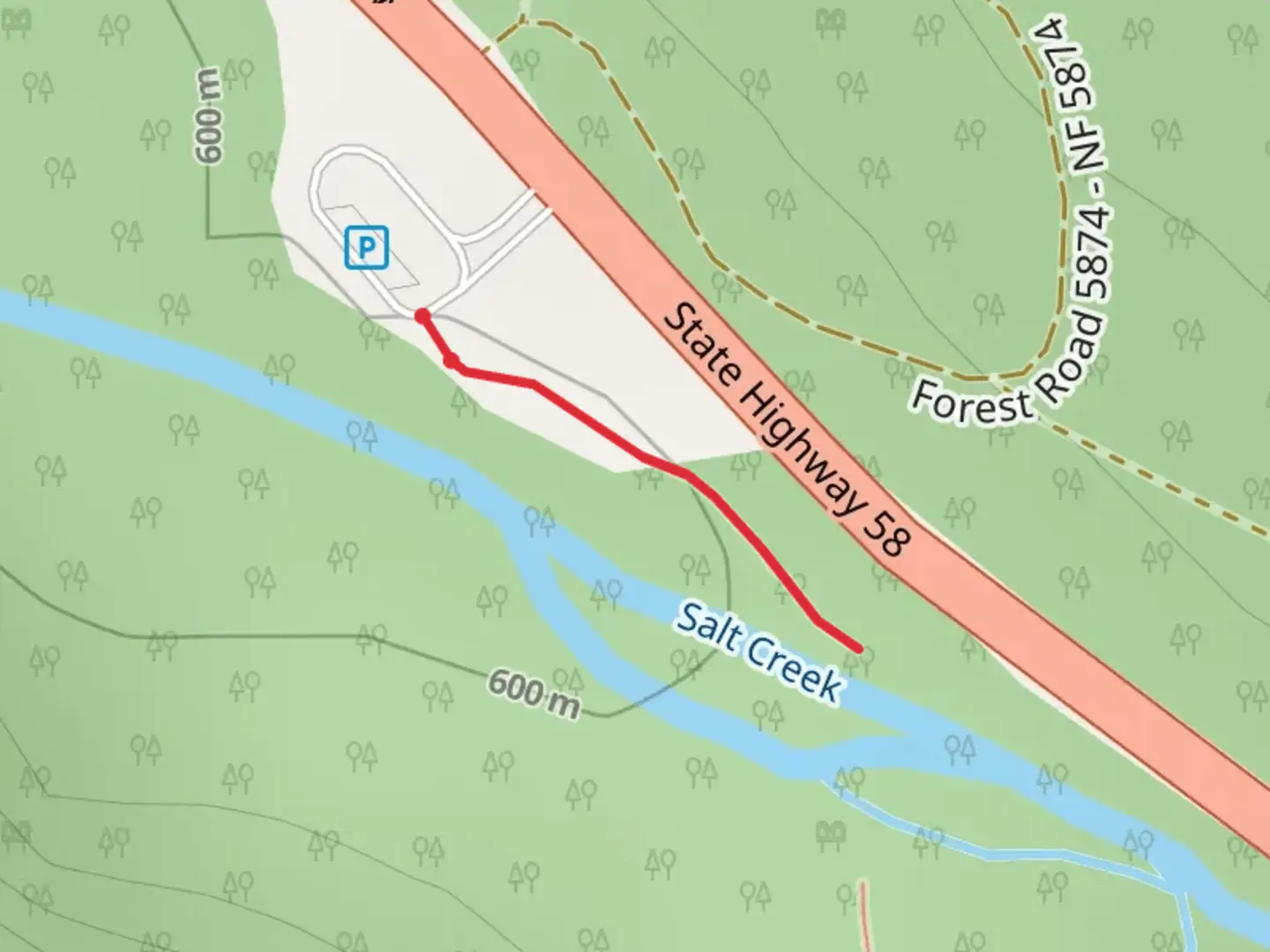 An image depicting the trail Salt Creek Falls and its surrounding area.