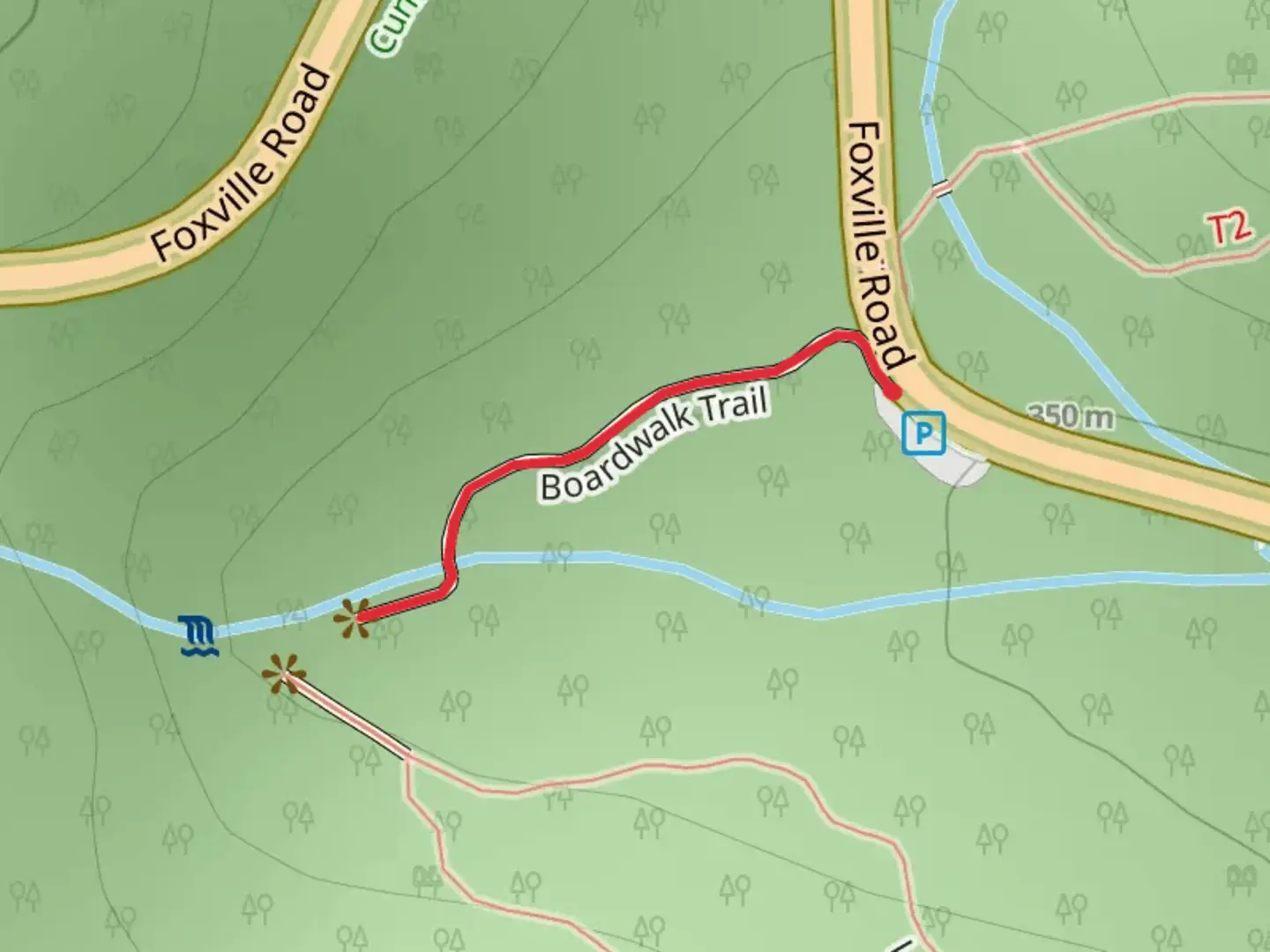 An image depicting the trail Boardwalk Trail and its surrounding area.