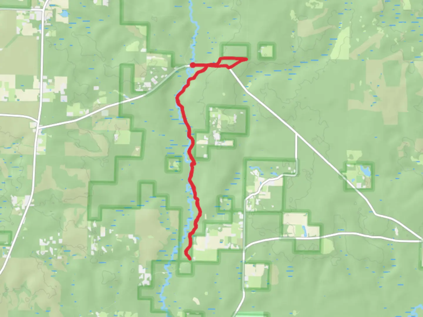 An image depicting the trail Juniper Creek and its surrounding area.