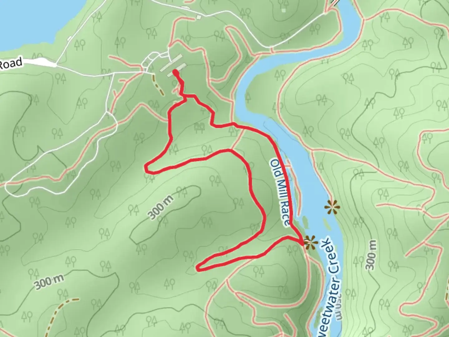 An image depicting the trail White and Red Loop Trail and its surrounding area.