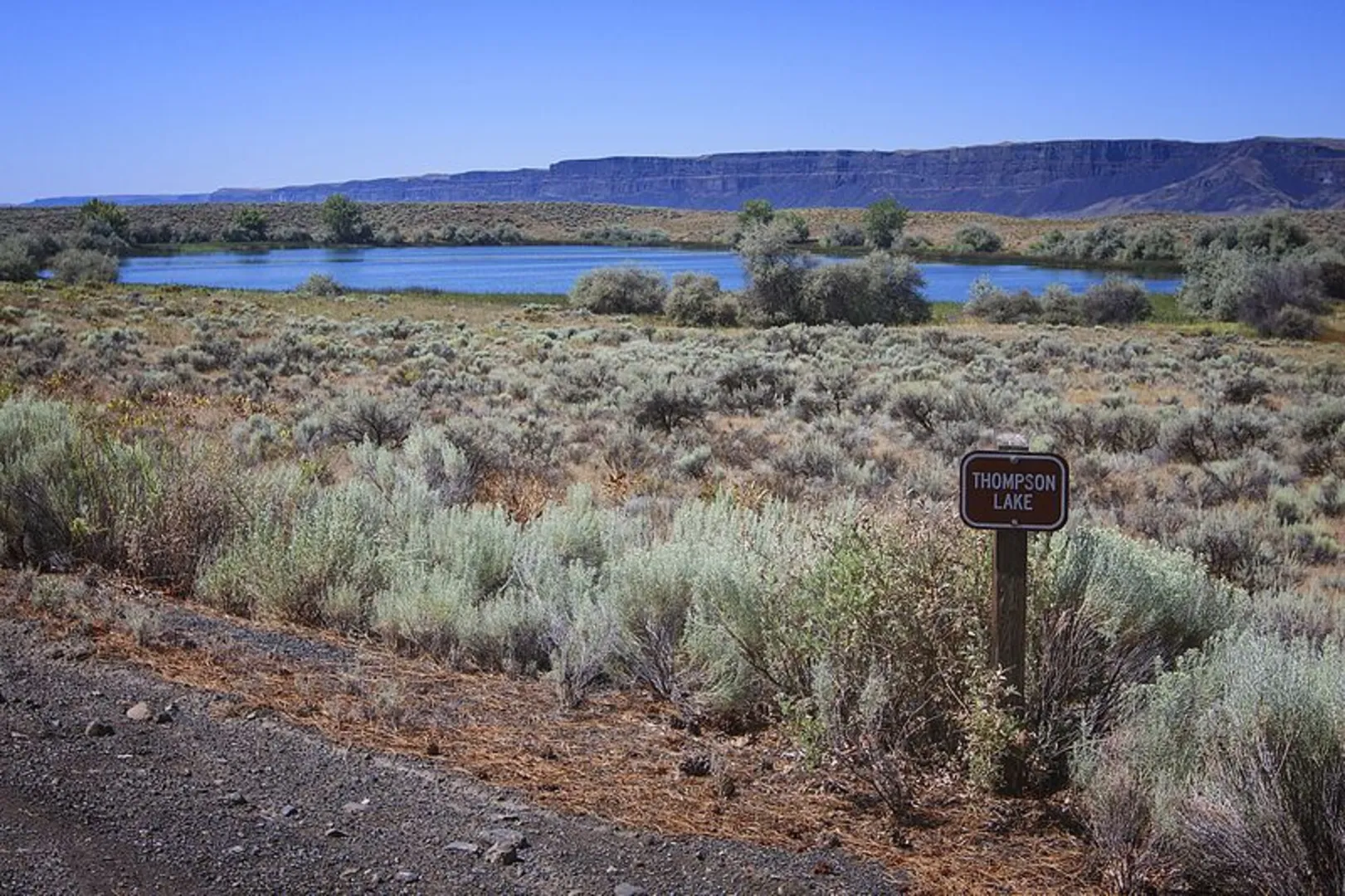 An image depicting the trail Thompson Lake Trail and its surrounding area.
