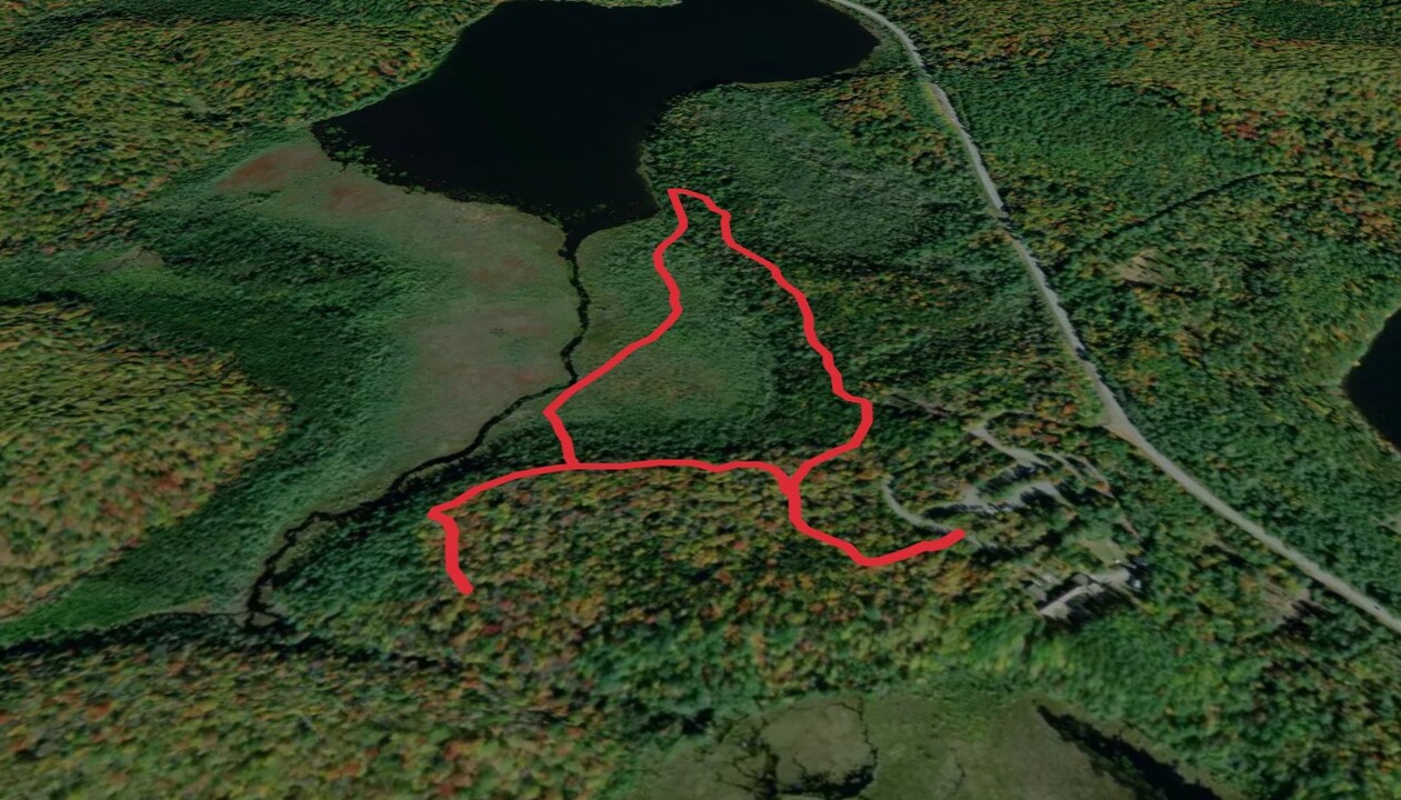 Boreal Life Trail - Yellow Loop