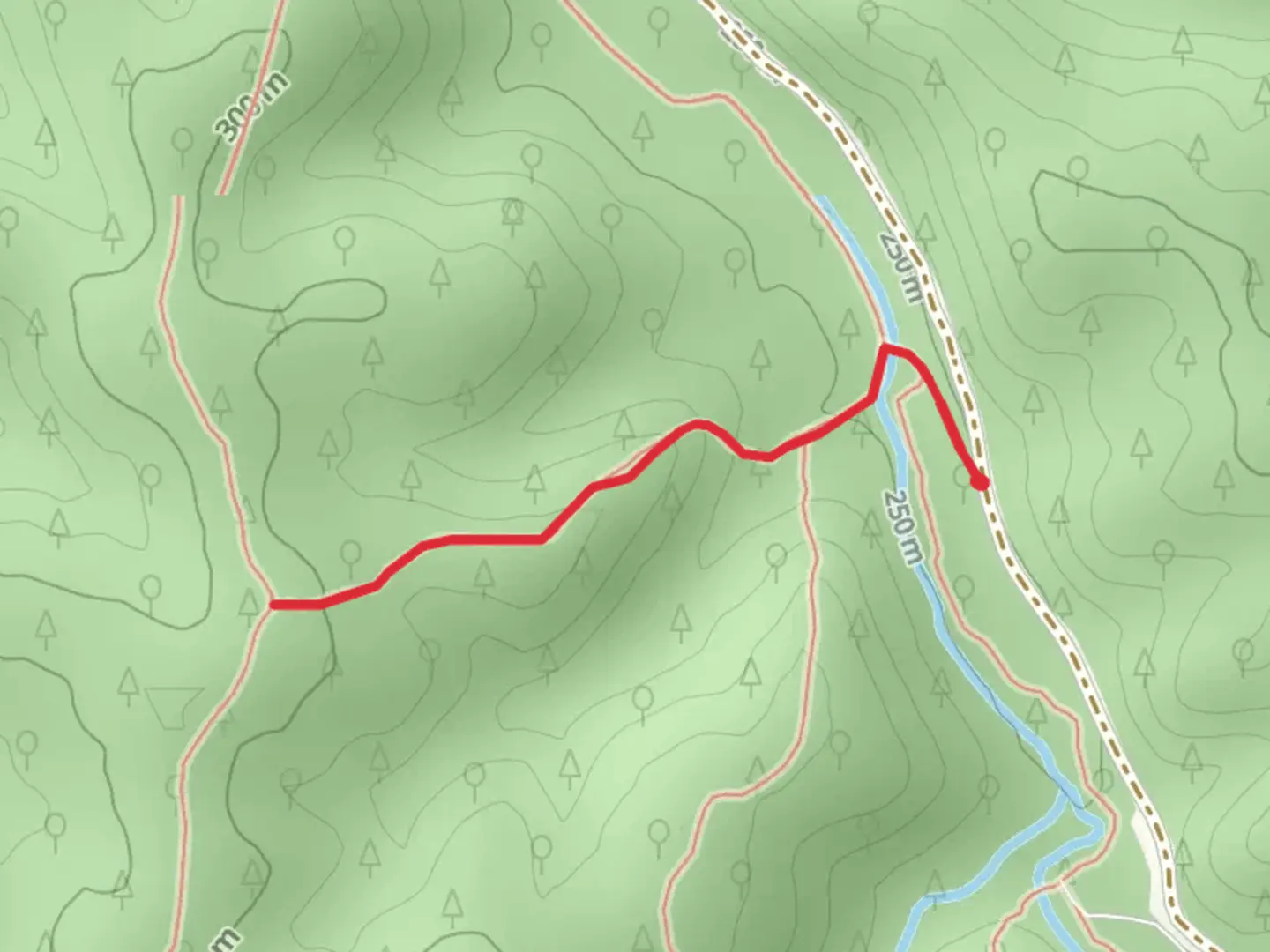 An image depicting the trail Mushroom Trail and its surrounding area.