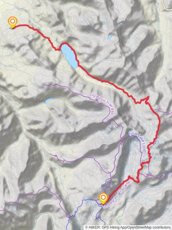 Snowgrass, Packwood Lake and Upper Lake Creek Trail