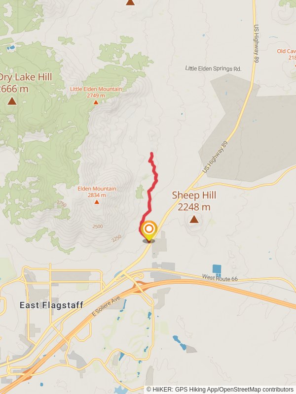 Christmas Tree Trail