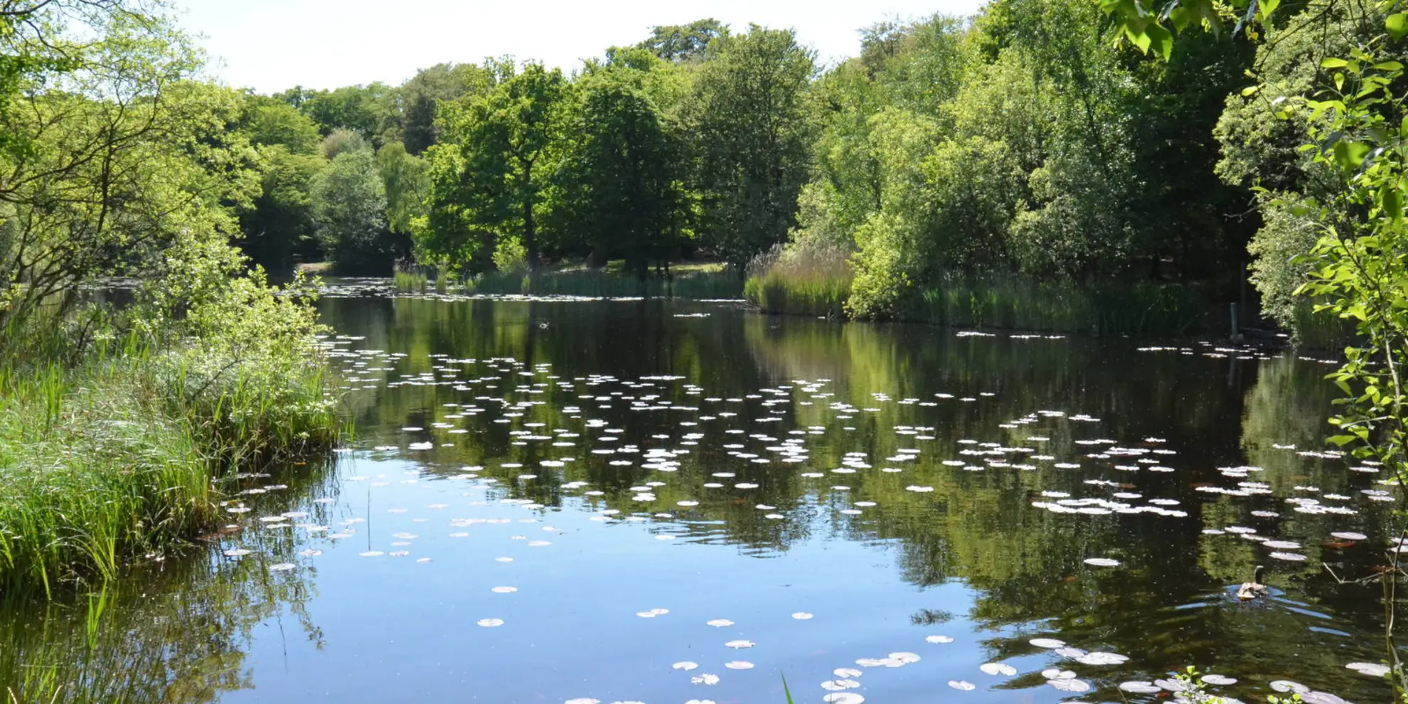 An image depicting the trail Roydon to Epping Walk and its surrounding area.