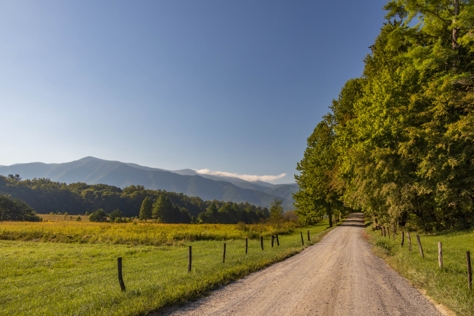 An image depicting the trail Crooked Arm Scott Mountain Trail and its surrounding area.