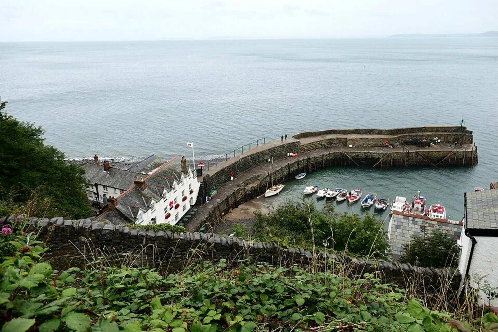 An image depicting the trail Bucks MIlls to Clovelly Walk and its surrounding area.