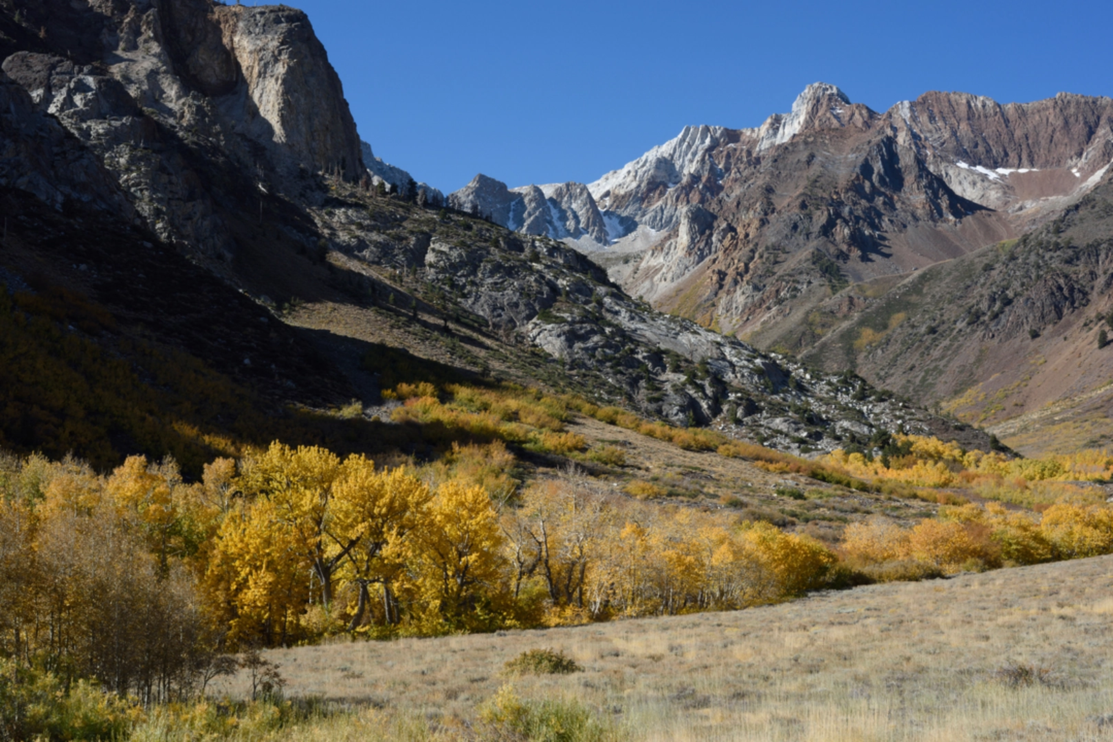 An image depicting the trail Baldwin Canyon via McGee Pass Trail and its surrounding area.