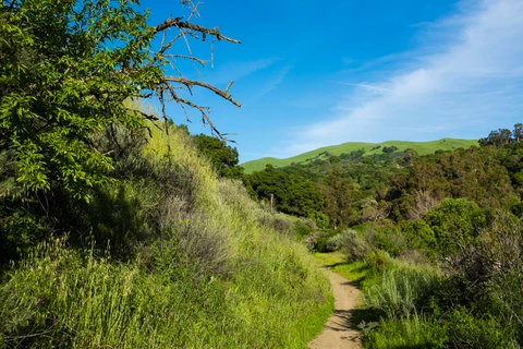 An image depicting the trail Boccardo Loop Trail and its surrounding area.
