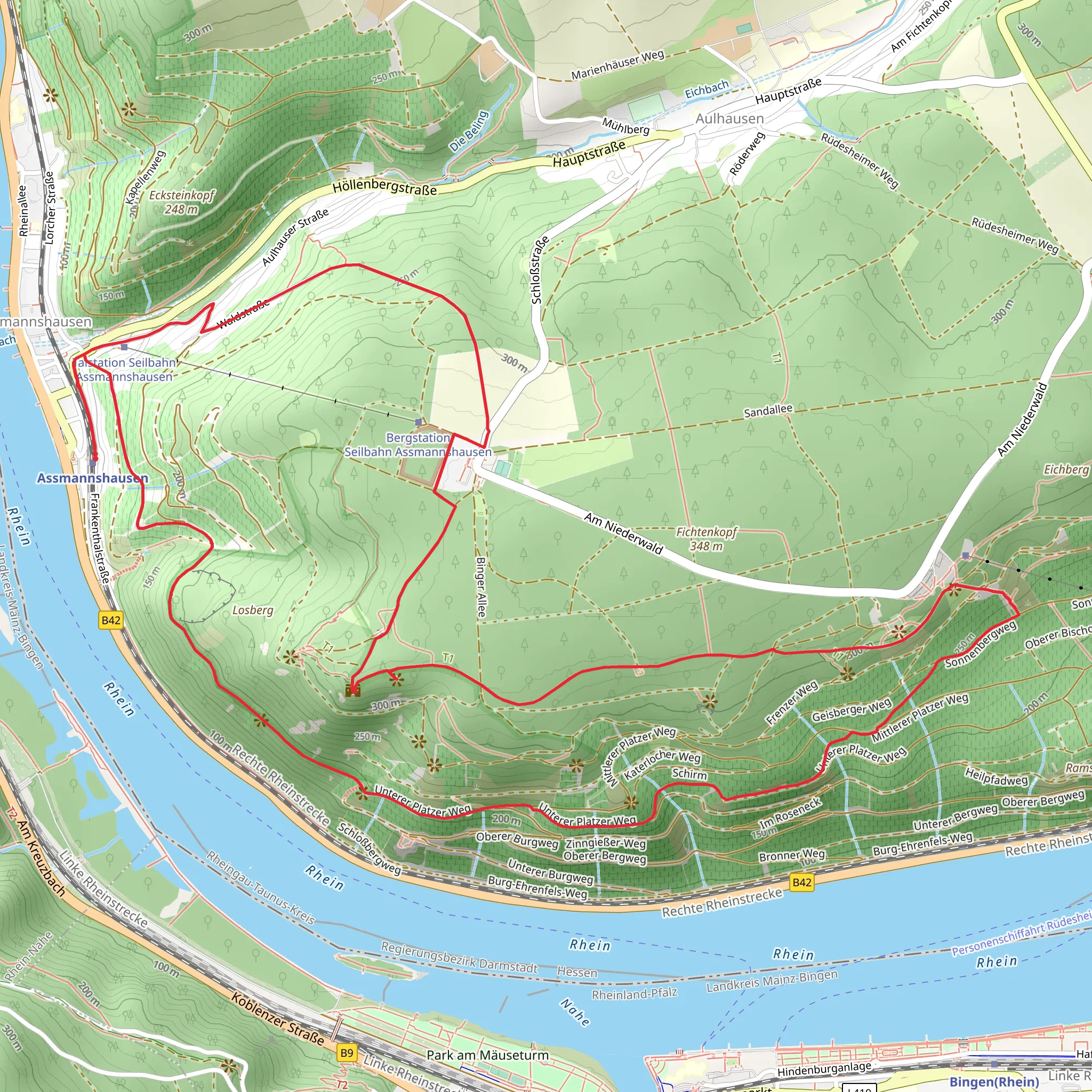 Assmannshausen, Rossel and Binger Loch Blick Loop via Loop via Waldstraße mobile static map