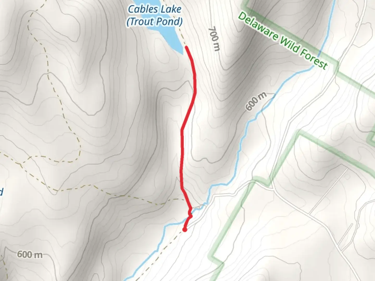 An image depicting the trail Cables Lake from Russell Brook Road and its surrounding area.