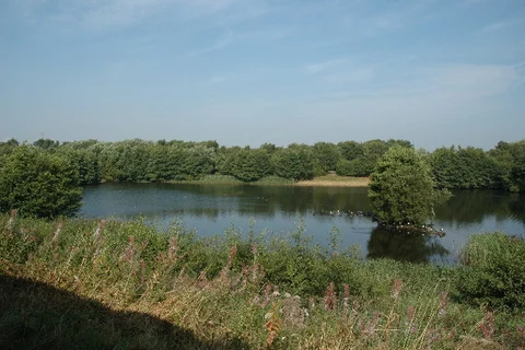 Lapwing Lake, Lapwing Wood and Birchwood