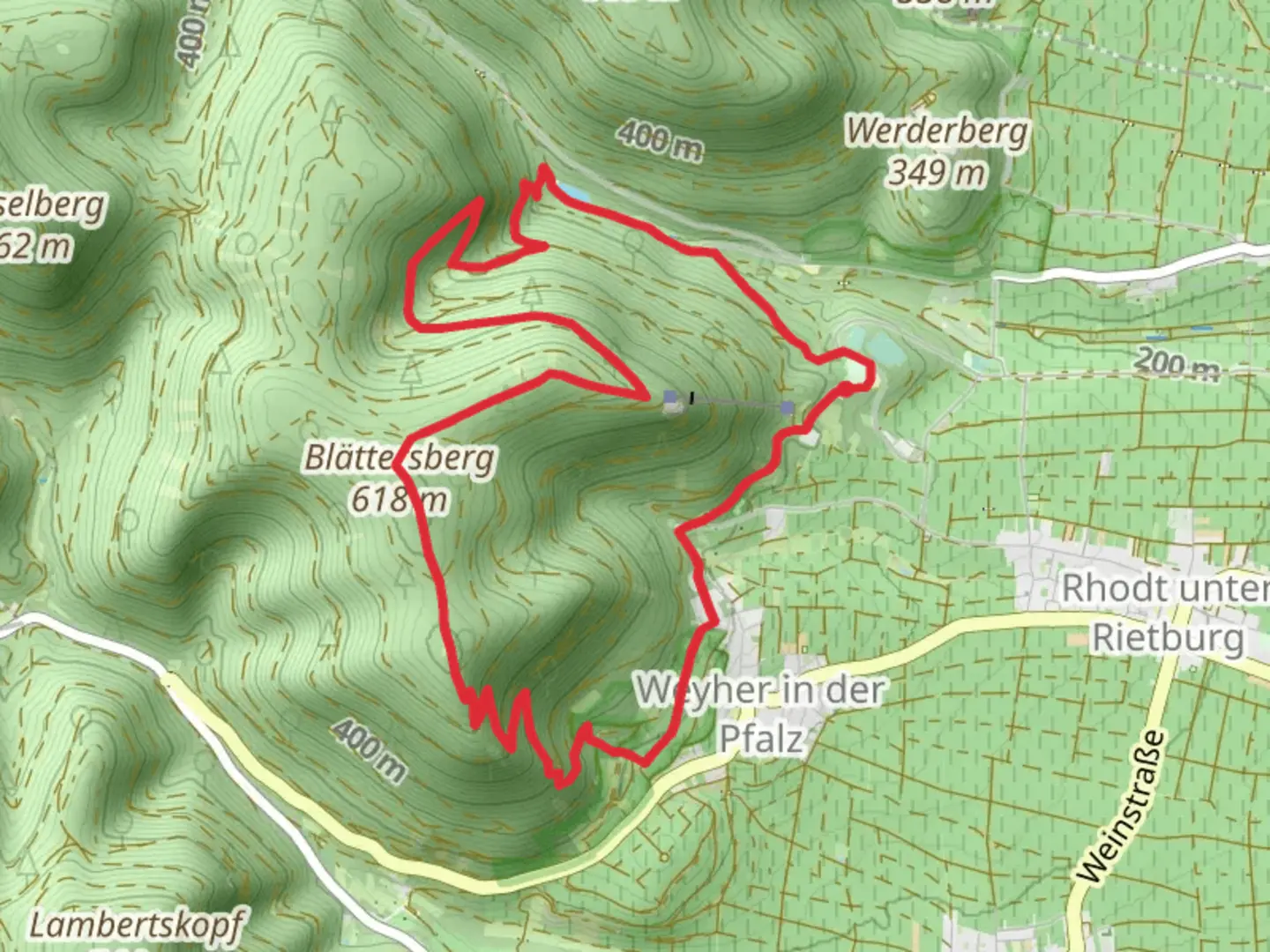 An image depicting the trail Ruine Rietburg Loop and its surrounding area.