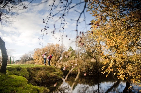 An image depicting the trail Cavan Way and its surrounding area.