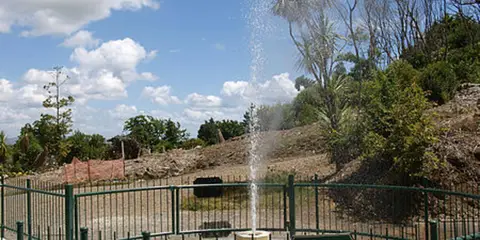 An image depicting the trail Bald Spur Track and its surrounding area.