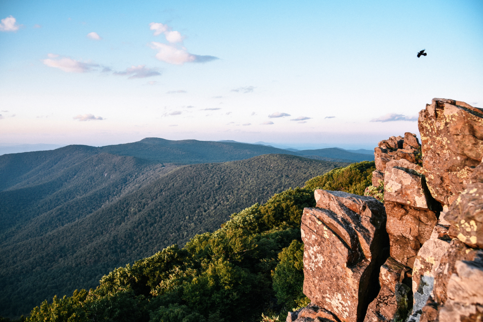 An image depicting the trail Patterson Ridge Trail and its surrounding area.