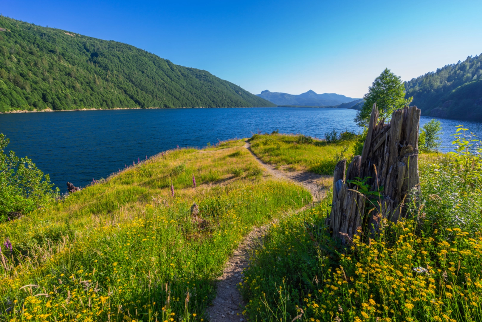 An image depicting the trail Birth of a Lake Trail and its surrounding area.