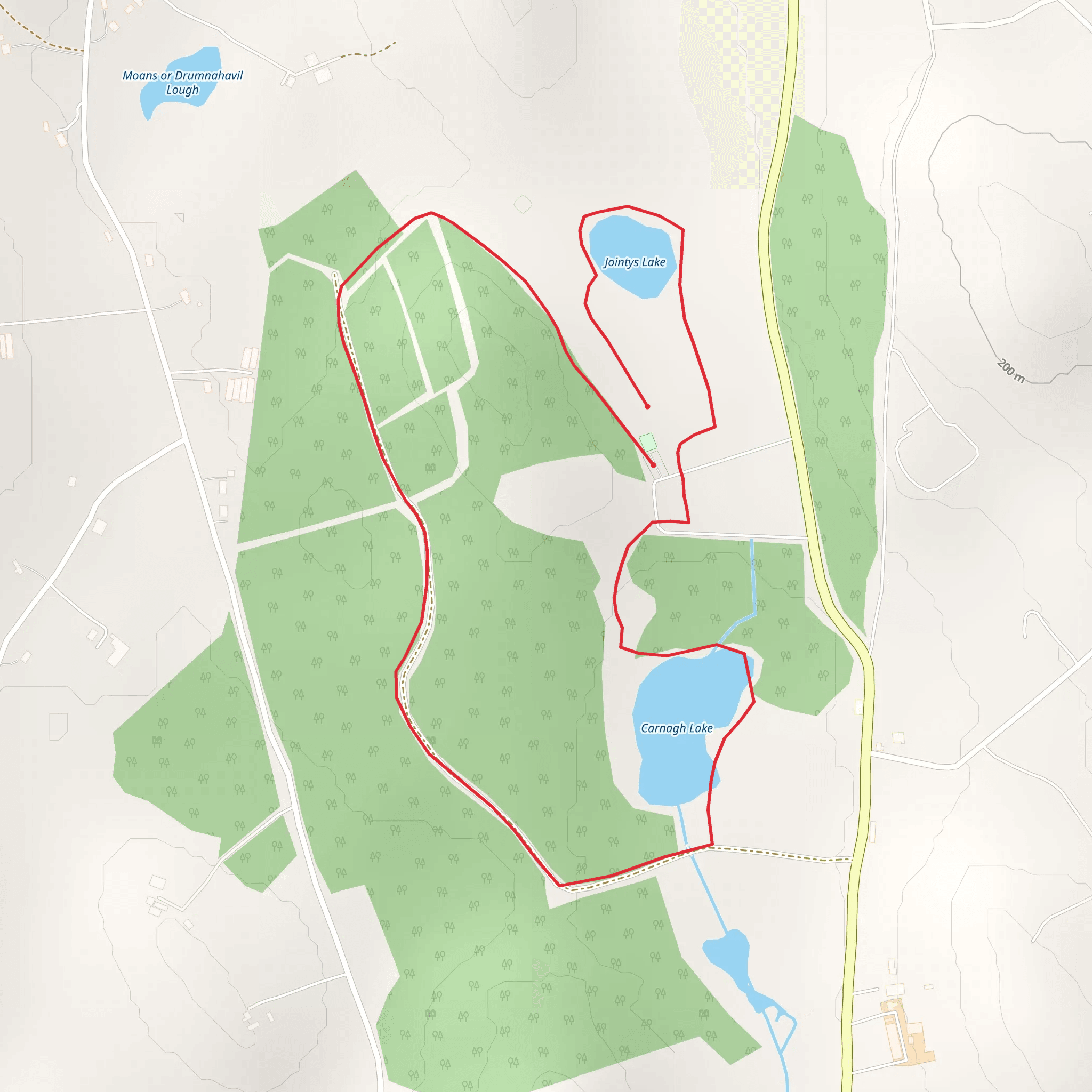 Carnagh Forest - Boundary Trail mobile static map