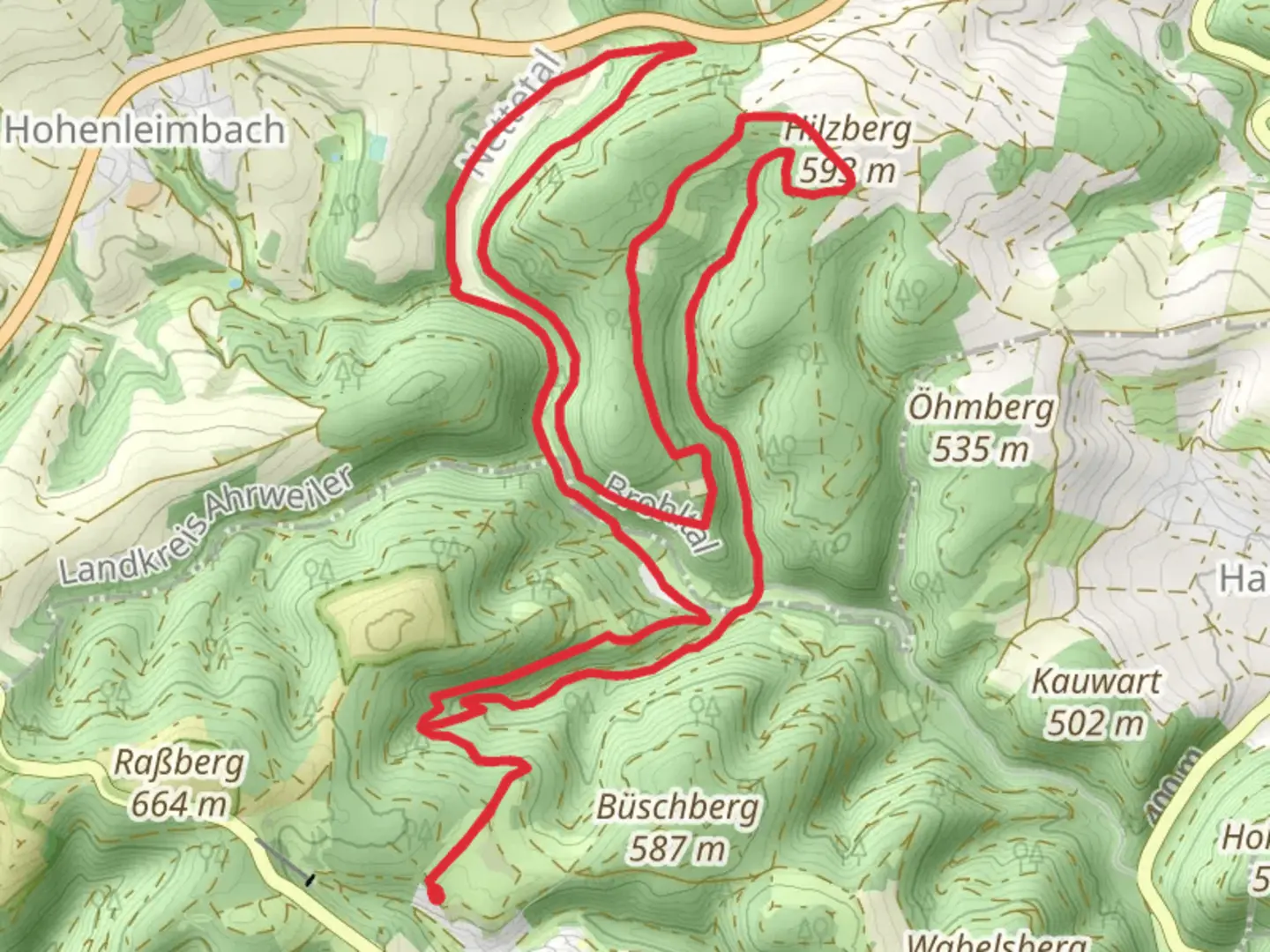 An image depicting the trail Netterhofe, Springhardt and Hilzberg Loop and its surrounding area.
