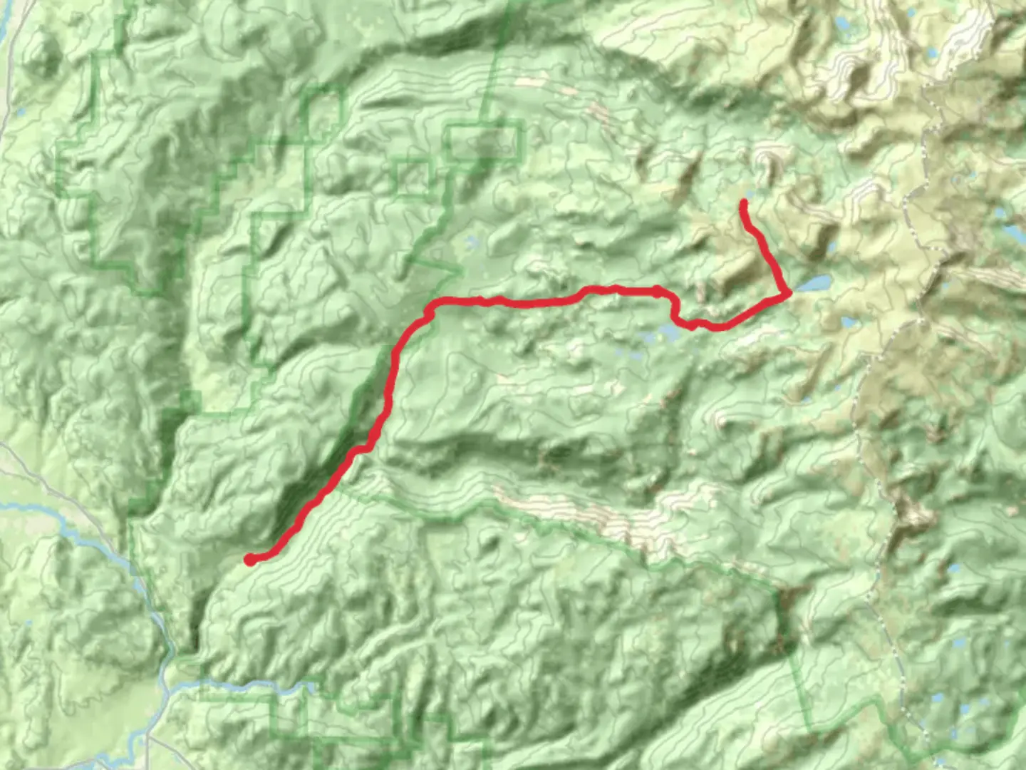 An image depicting the trail Big Creek and Luna Lake via Swamp Park Trail and its surrounding area.