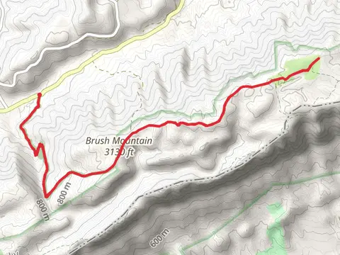 Brush Mountain and Hensley Settlement Trail