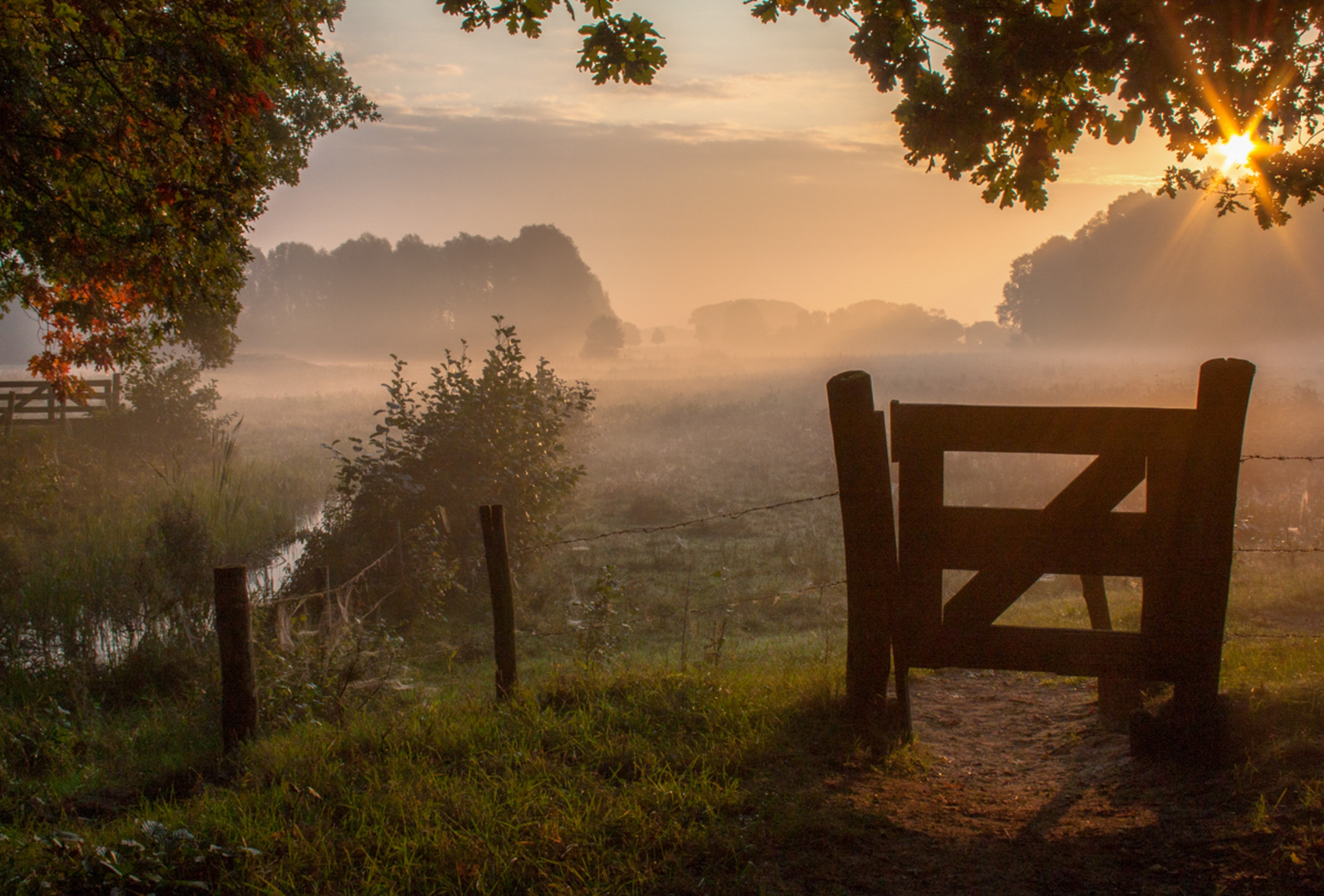 An image depicting the trail Oude Grintweg, Bestseweg, Eindhovensedijk Loop and its surrounding area.