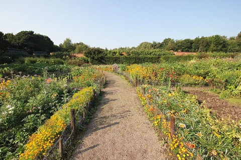 Norton Priory Walled Gardens Loop
