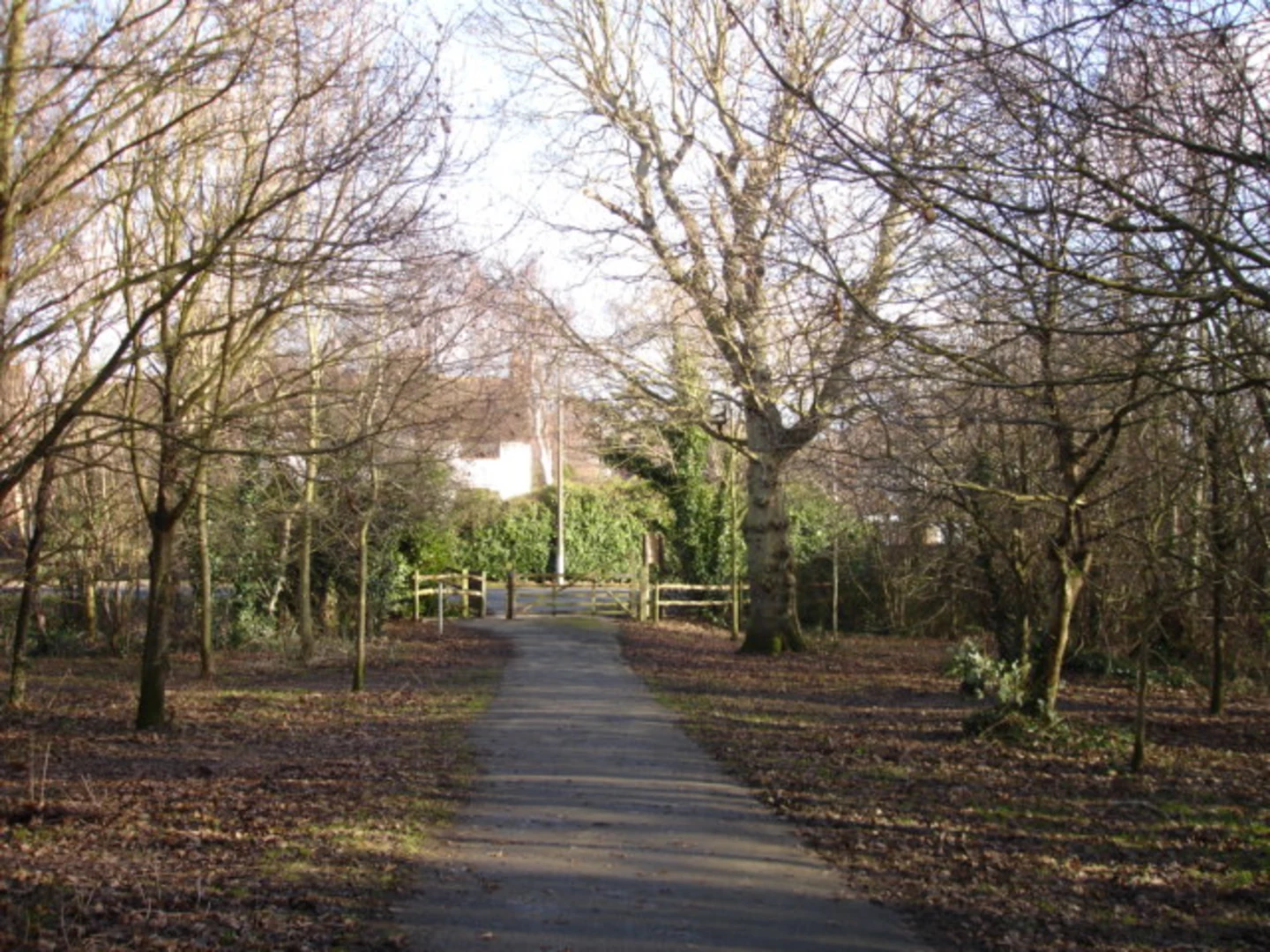 An image depicting the trail Groynes Walk and its surrounding area.