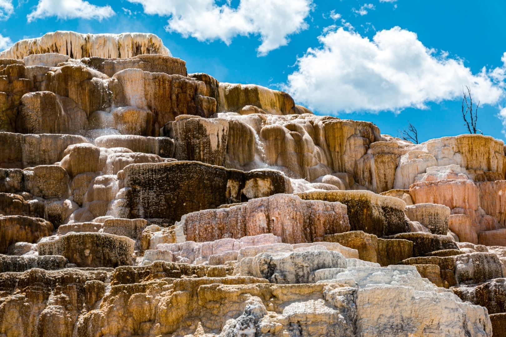 An image depicting the trail Beaver Ponds Trail and its surrounding area.