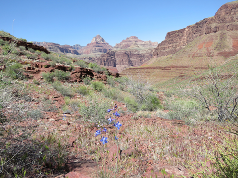 Escalante Route Trail