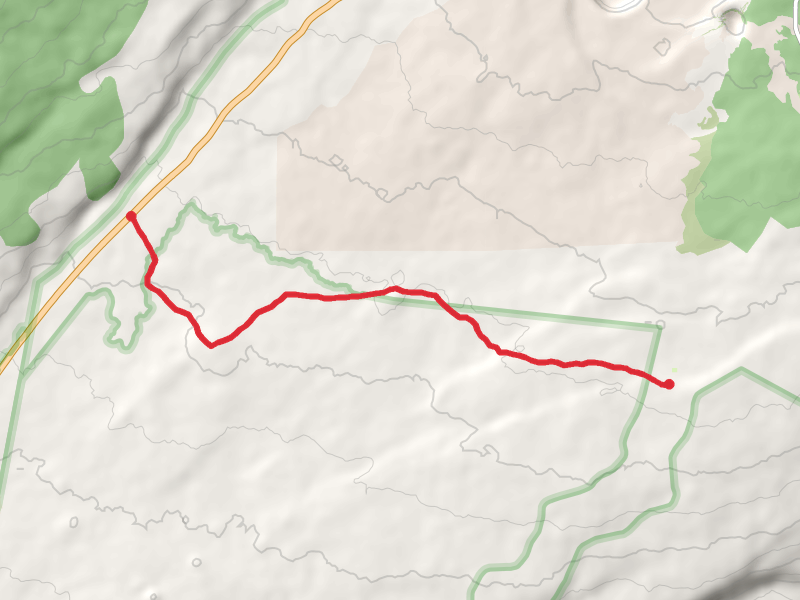 Footprints, Kaʻu Desert and Mauna Iki Trail