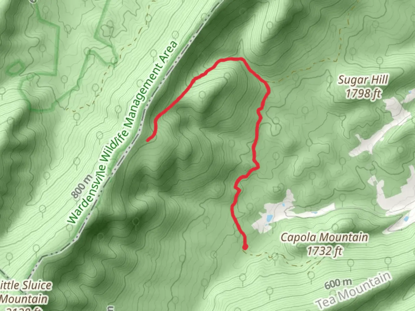 An image depicting the trail Sulphur Spring Gap Trail and its surrounding area.