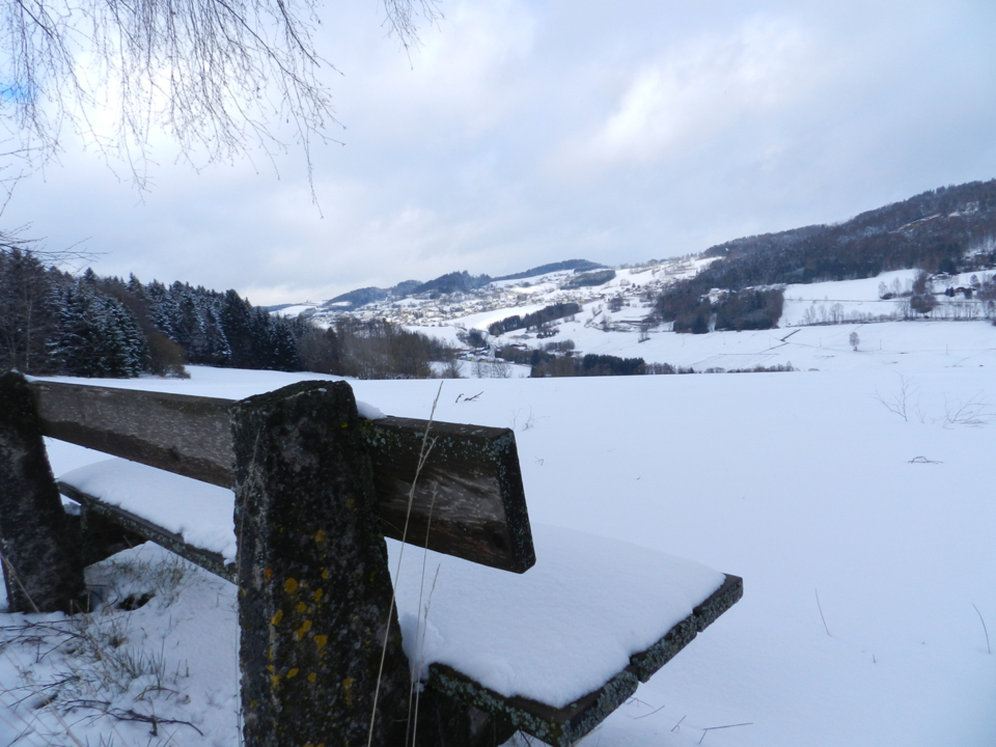 An image depicting the trail Große Mühl Hike and its surrounding area.