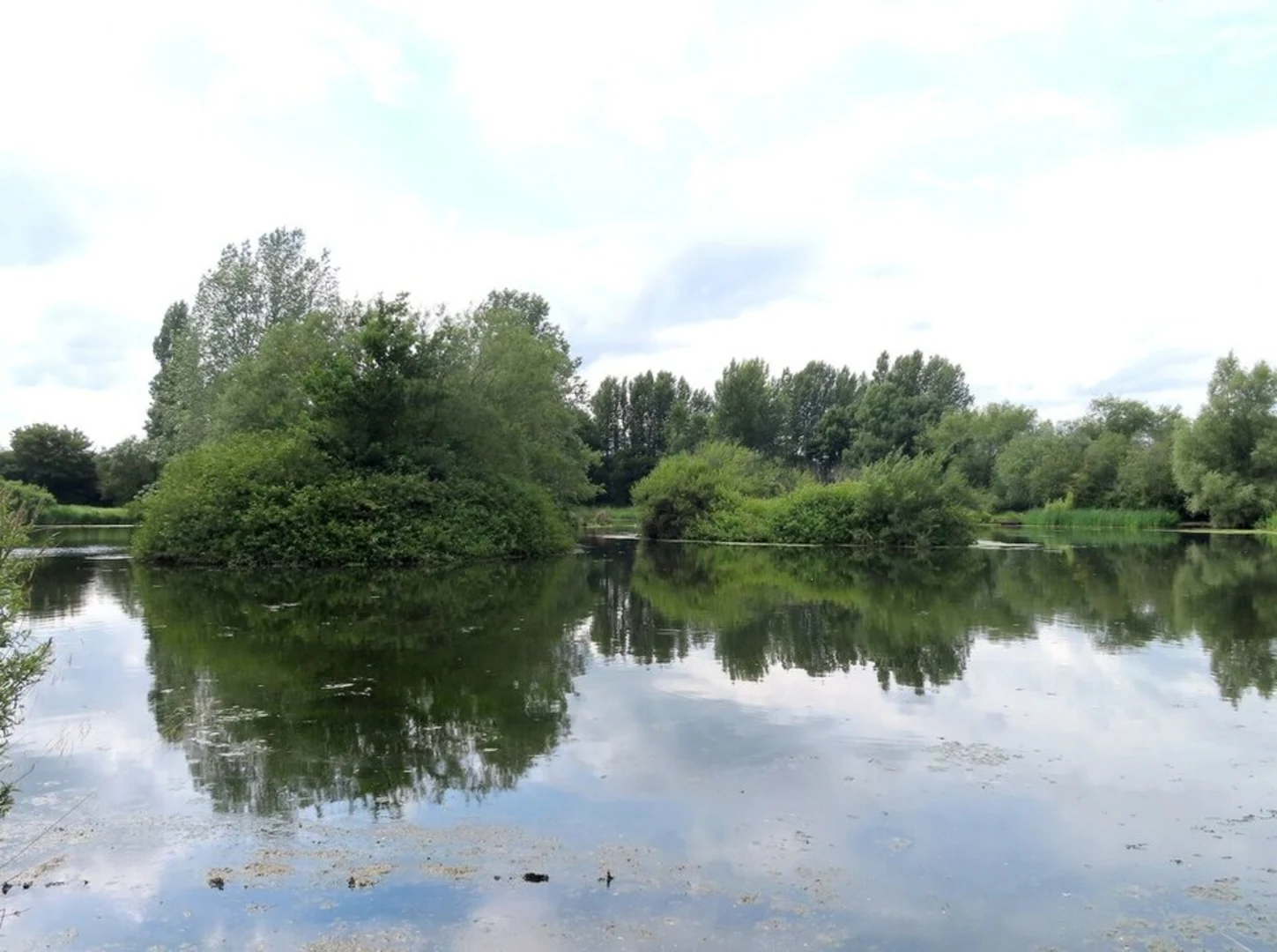 An image depicting the trail Mouldon Hill Country Park Loop and its surrounding area.
