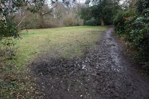 An image depicting the trail Childwall Woods Loop and its surrounding area.