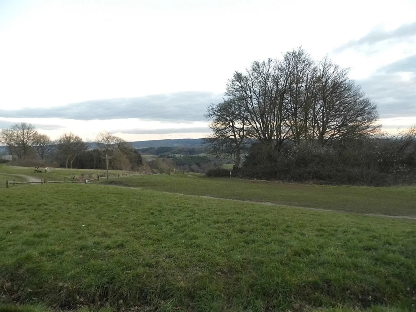 An image depicting the trail Newlands Corner via North Downs Way and its surrounding area.