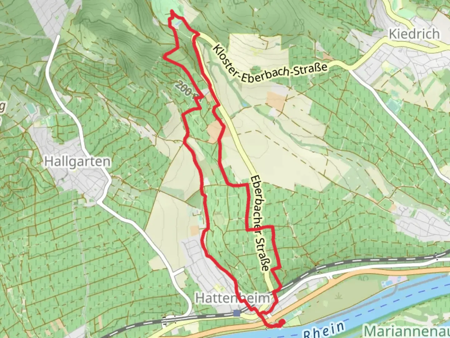 An image depicting the trail Weinwanderweg Hattenheim Loop and its surrounding area.