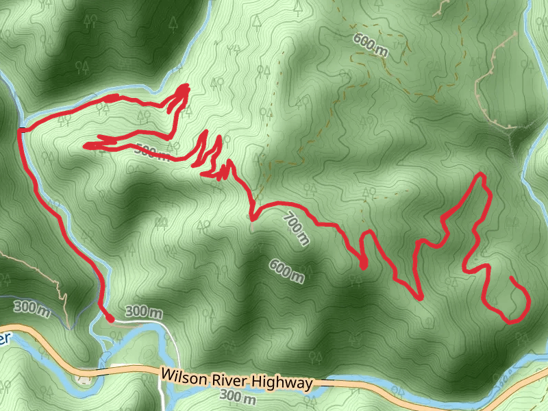 Wilson River Trail from Elk Creek Road