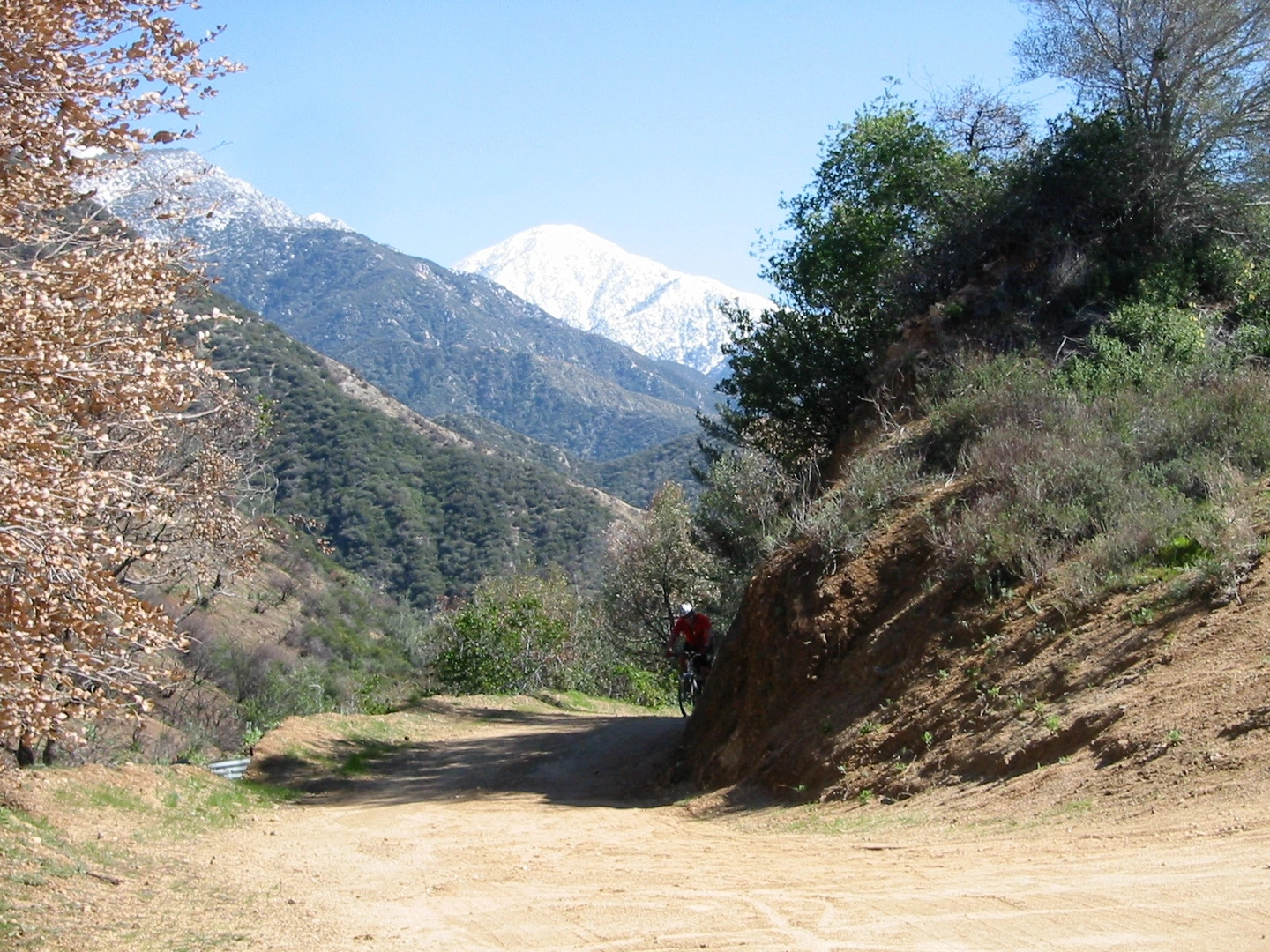 An image depicting the trail Potato Mountain and its surrounding area.