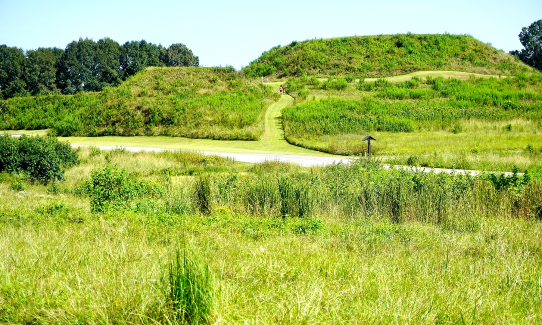 An image depicting the trail Ocmulgee Mounds National Park Loop and its surrounding area.